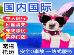南宁吴圩航空运输国际宠物托运 【国